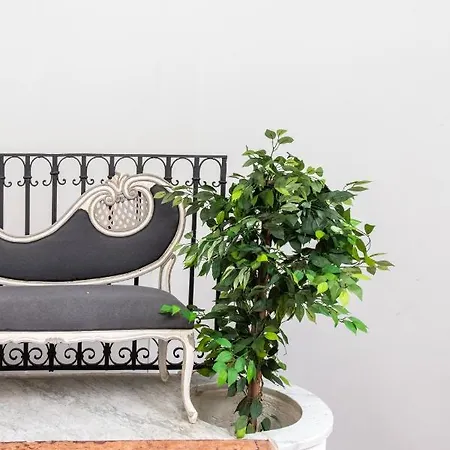 Moncada & Couette-café